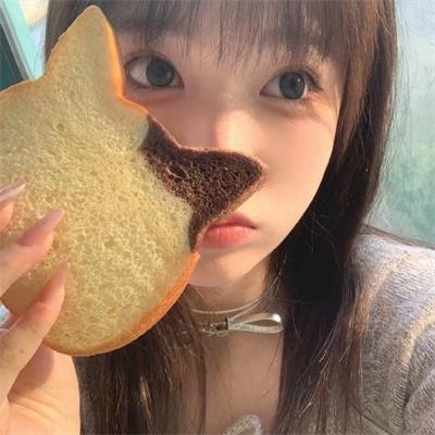 动物管制官第三季